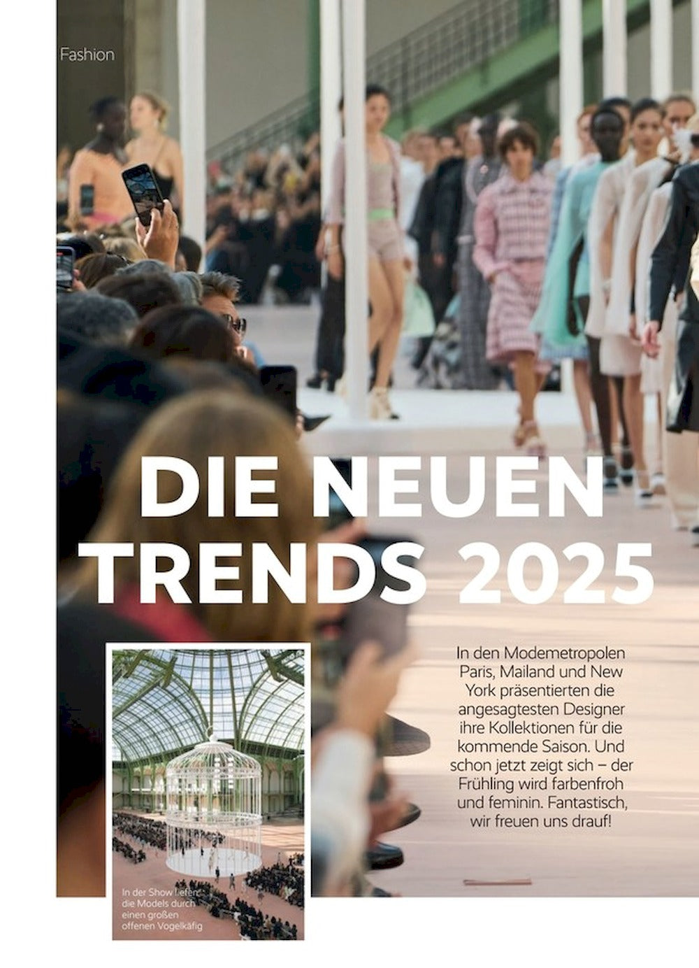 Petra Magazin Deutschland 2025-02