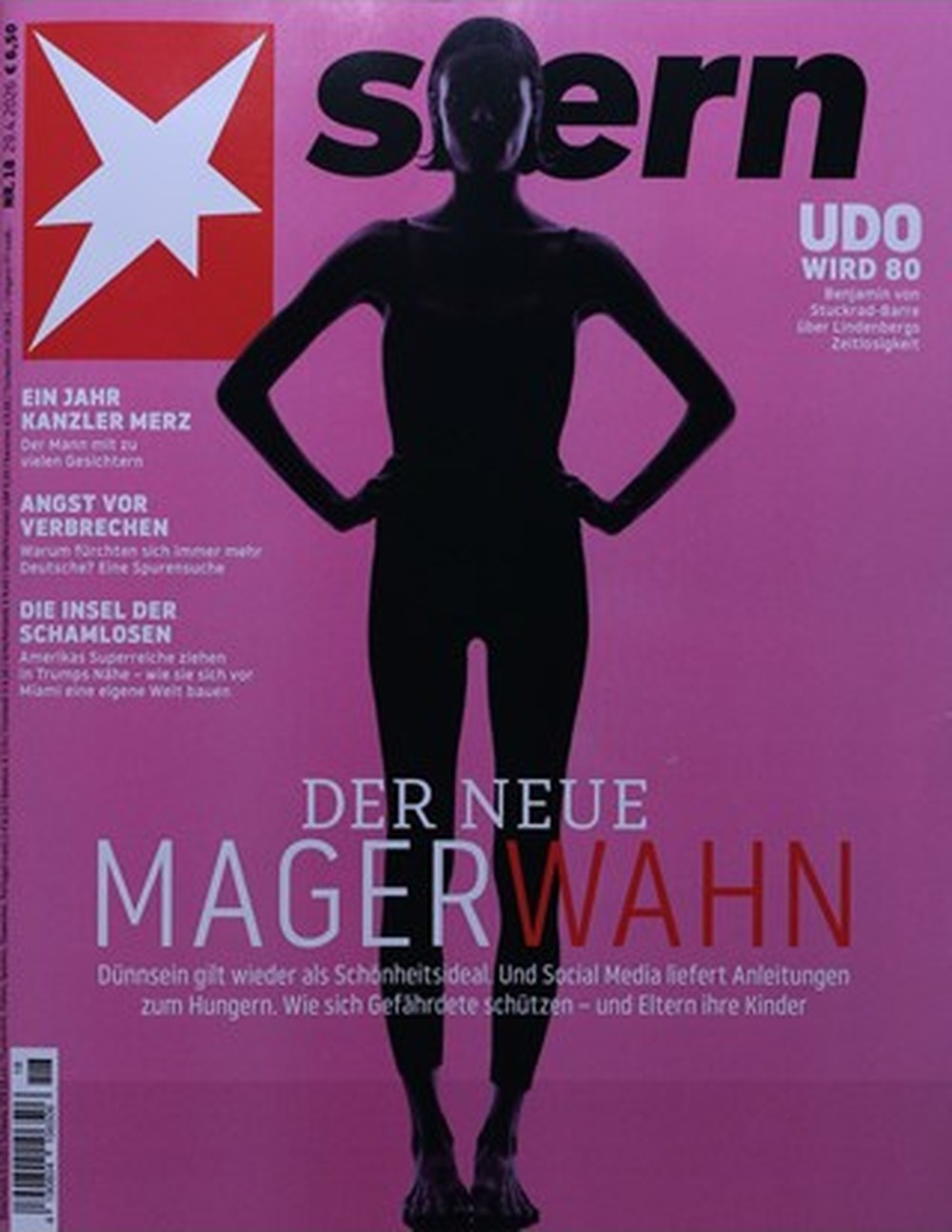 Stern Magazin Deutschland 2026-18 Udo Lindenberg Friedrich Merz