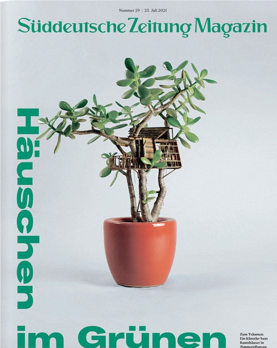Süddeutsche Zeitung Magazin Deutschland 2021-29 Miniatur-Baumhauskunst Zimmerpflanzen Bonsai