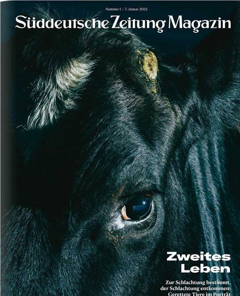Süddeutsche Zeitung Magazin Deutschland 2022-01 Tierschutz Gerettete Tiere Schlachthof-Flüchtlinge