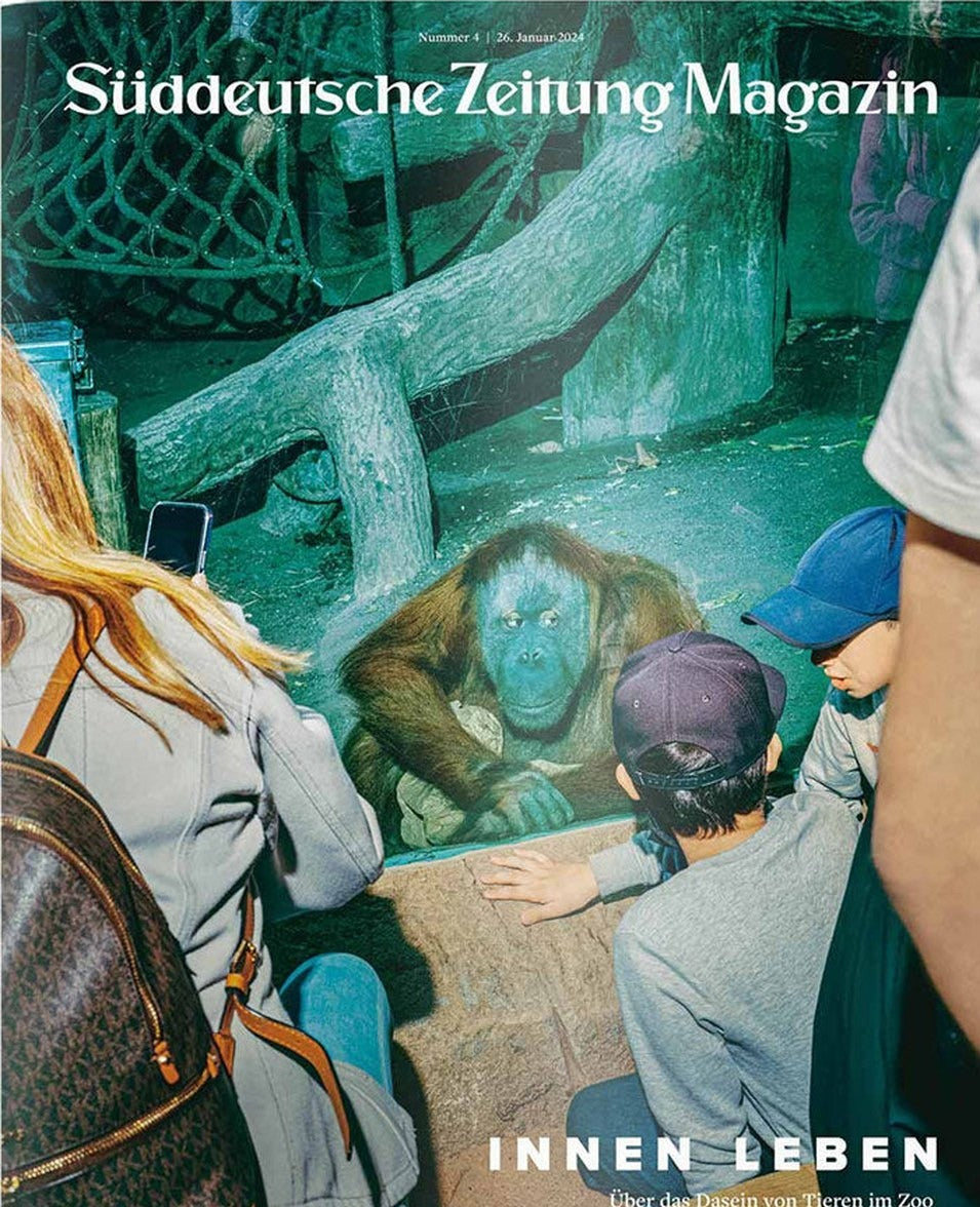 Süddeutsche Zeitung Magazin Deutschland 2024-04 Zootiere Orang-Utan Tierwohl