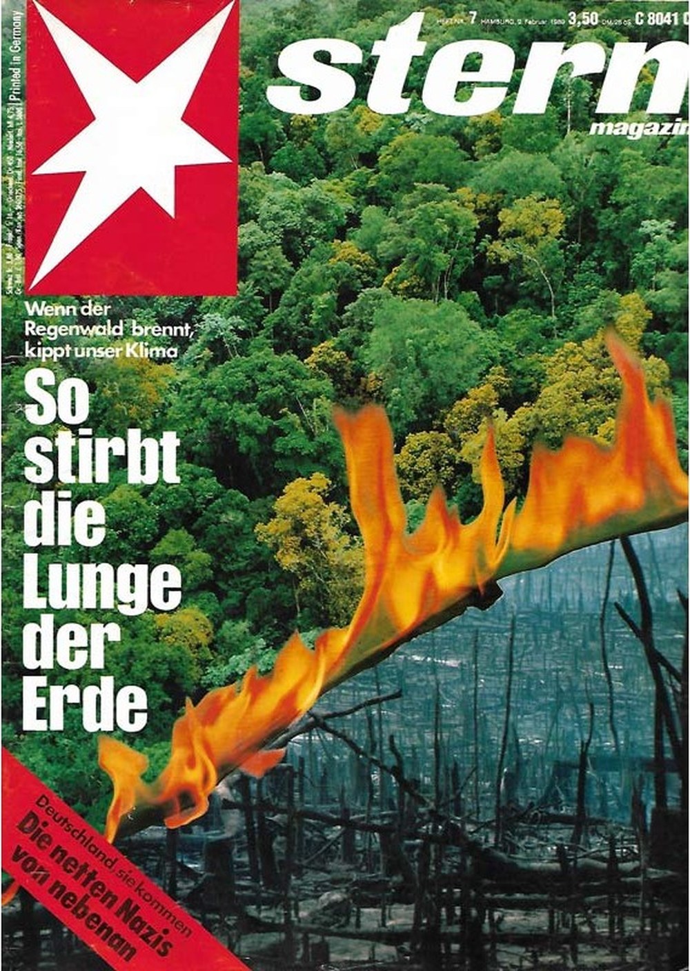 Stern Magazin Deutschland 1934-07 Regenwald Klimawandel Waldbrand