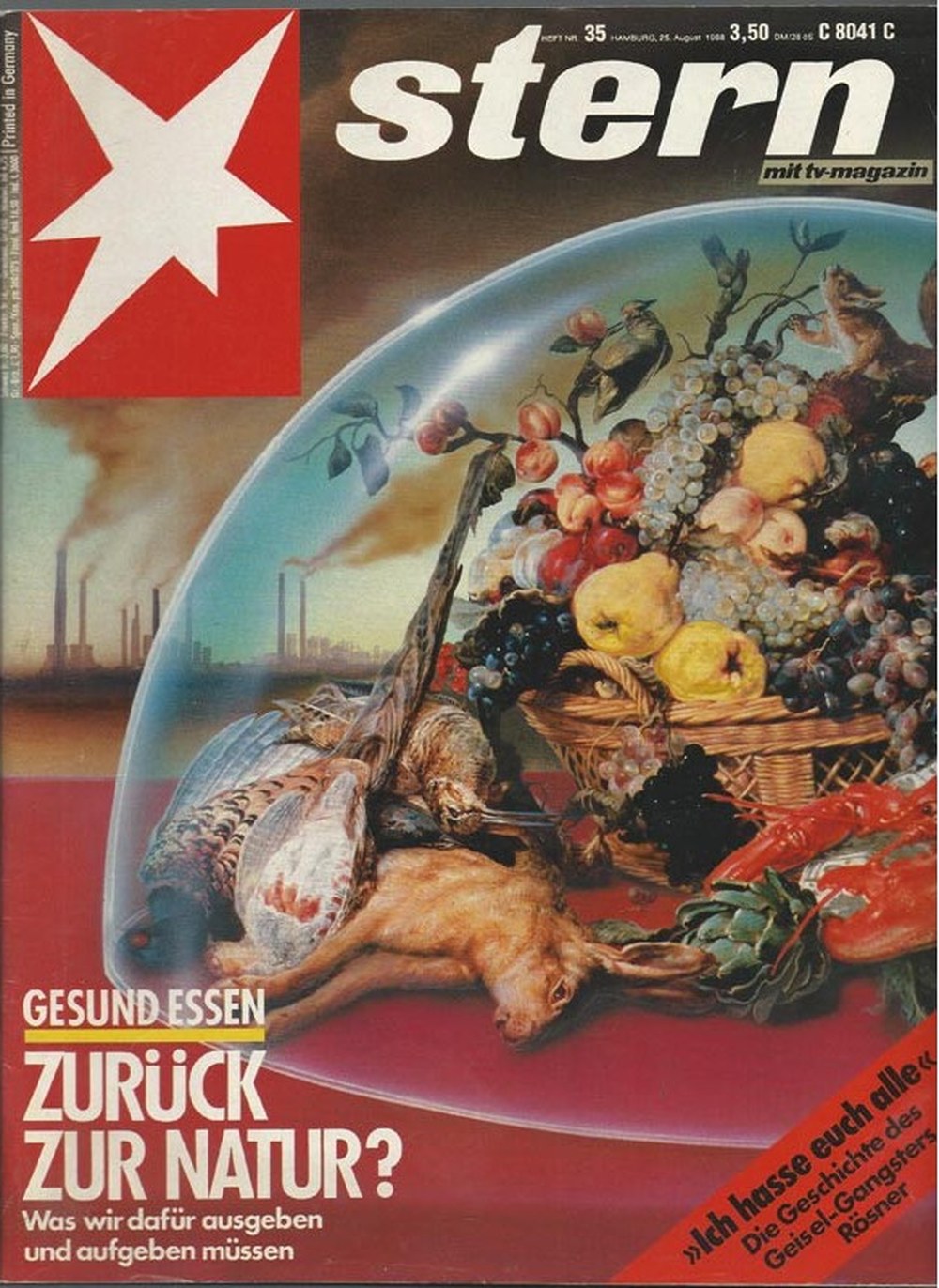 Stern Magazin Deutschland 1988-35 Ernährung Natur Gesundheit