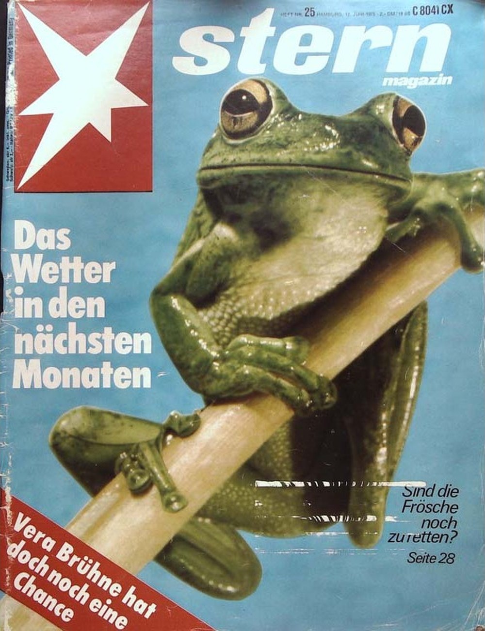 Stern Magazin Deutschland 1975-25 Vera Brühne