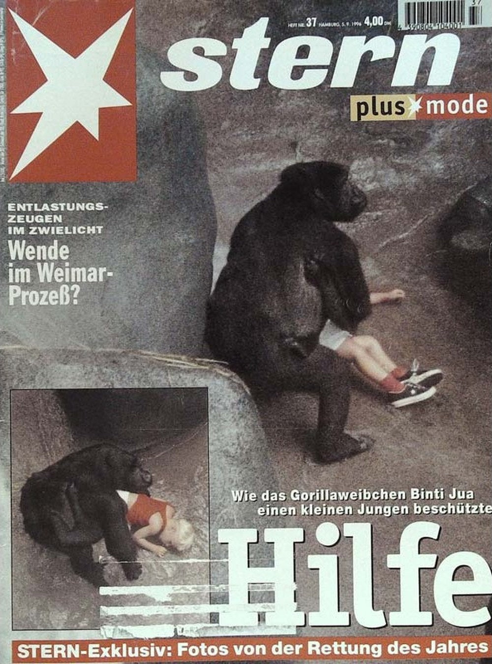 Stern Magazin Deutschland 1996-37 Binti Jua