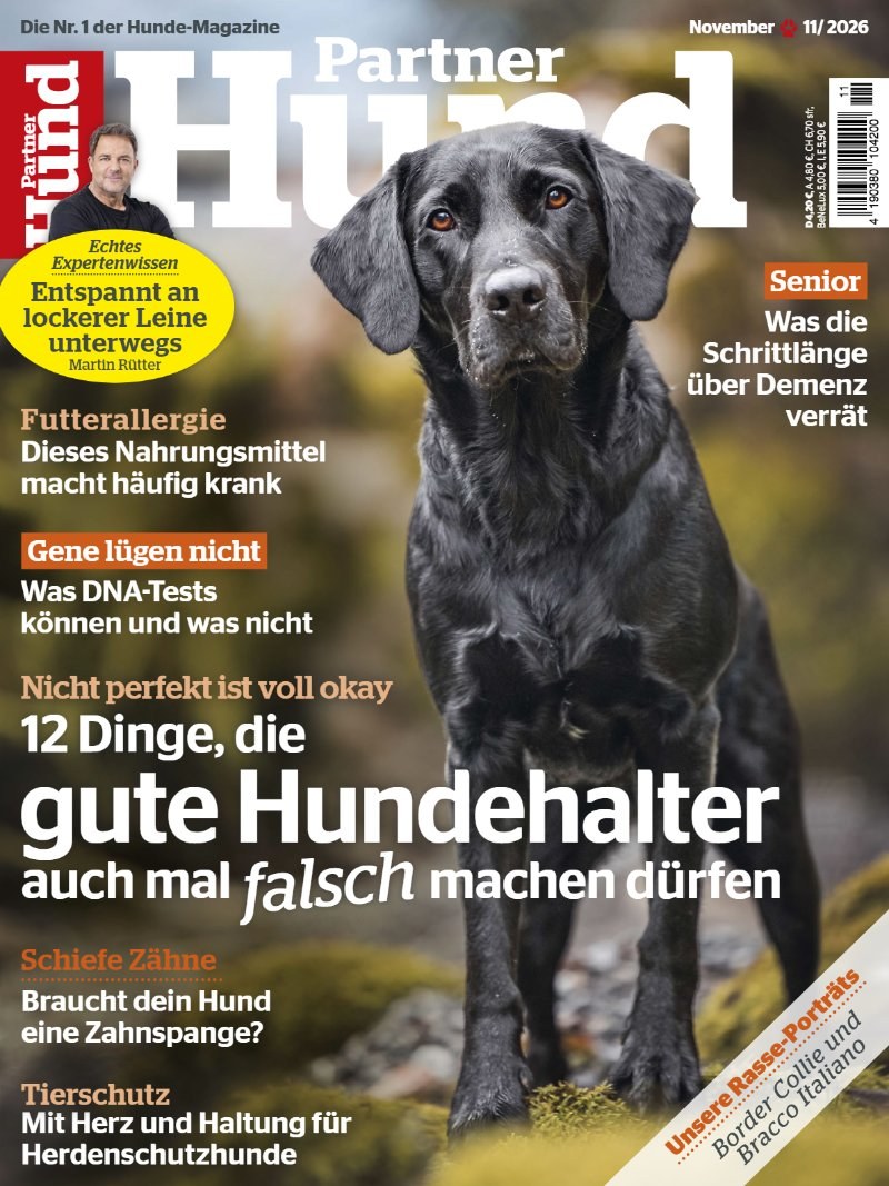 Partner Hund Magasin Tyskland 2026-11 – Martin Rütter – Originalutgåva