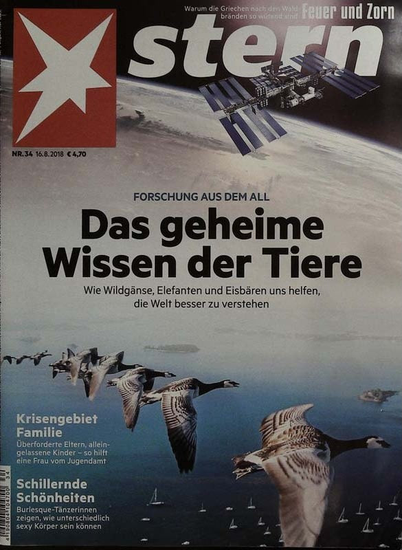 Stern Revista Alemania 2018-34 Edición original
