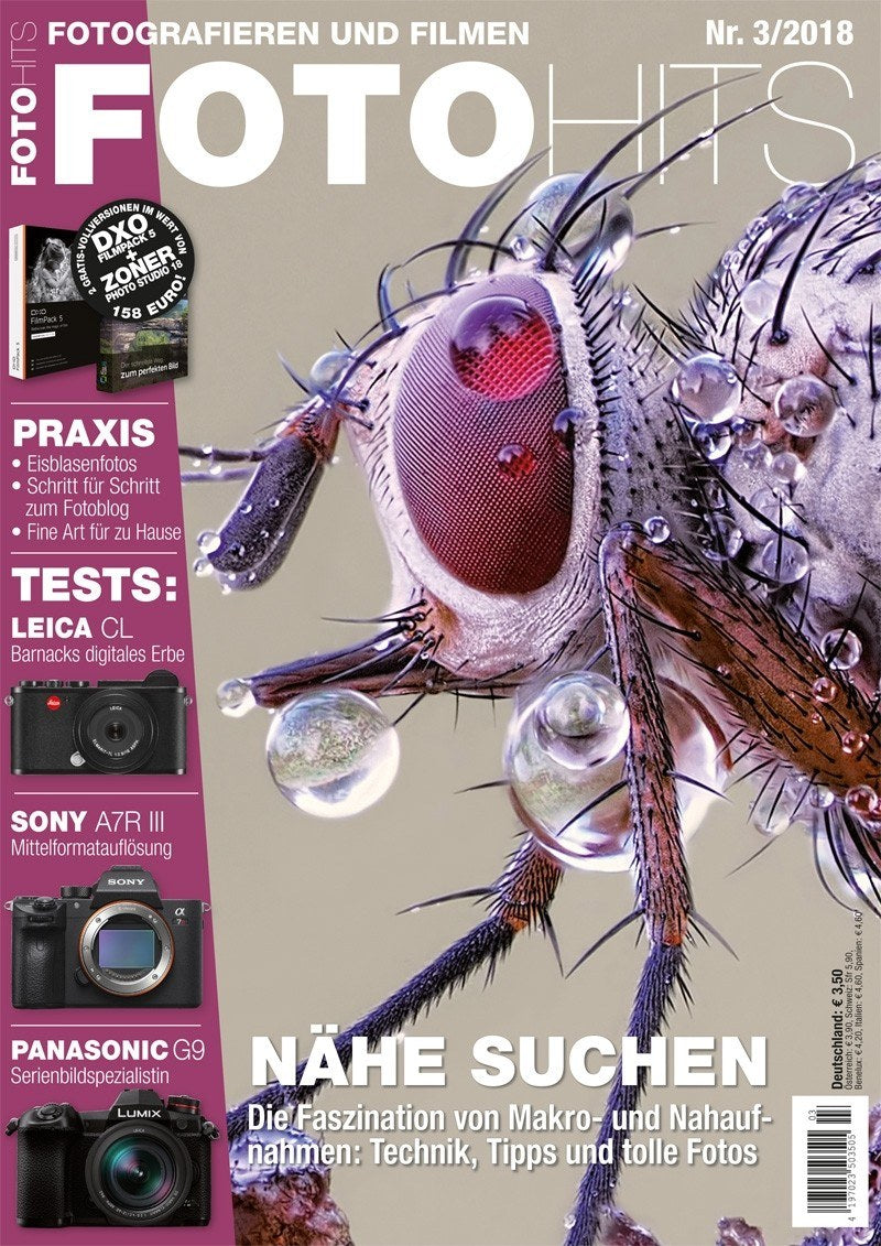 Foto Hits Deutschland 2018-03 Makrofotografie Nahaufnahme Insekten-Makro