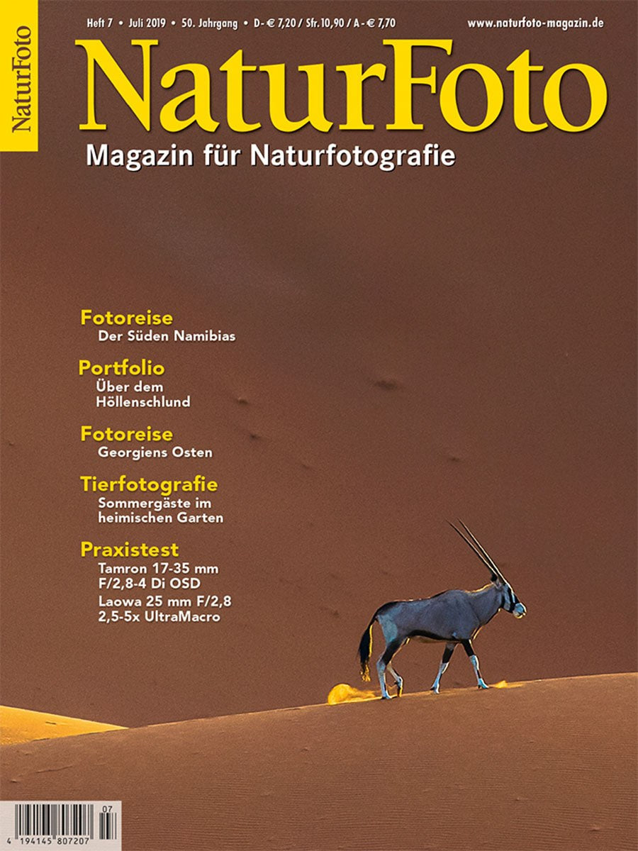 Naturfoto Magazin Deutschland 2019-07 Naturfotografie Namibia Oryx-Antilope