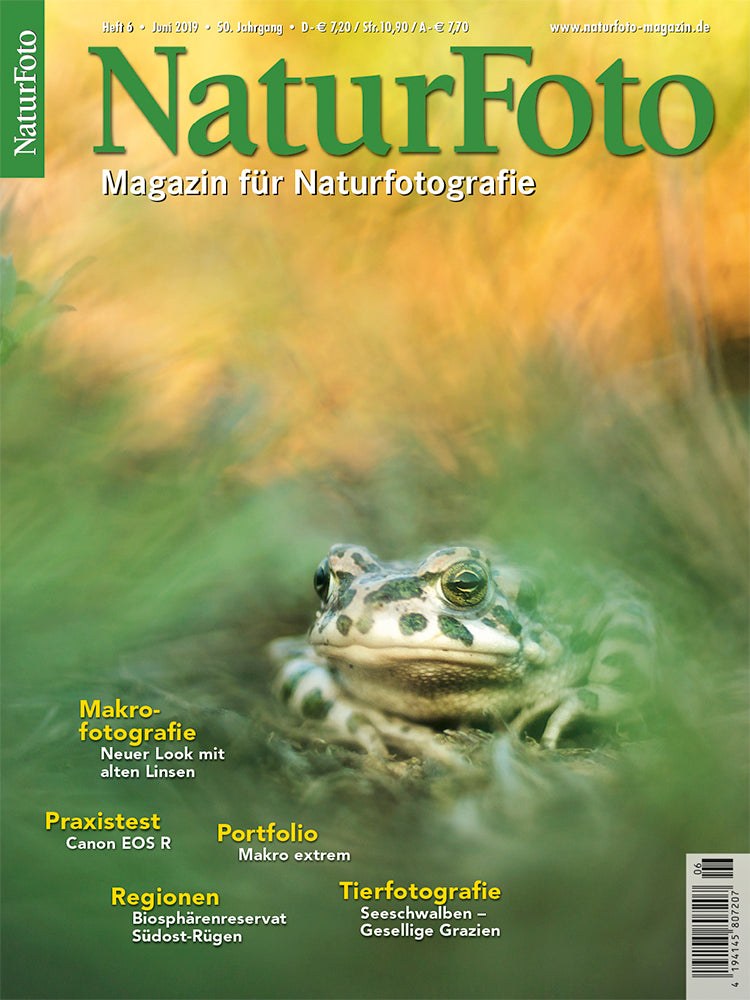 Naturfoto Magasin Tyskland 2019-06 Originaludgave