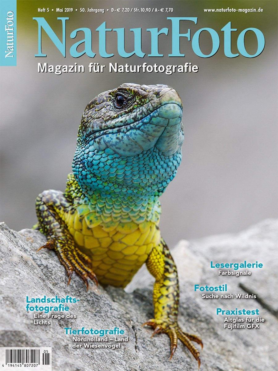 Naturfoto Magasin Tyskland 2019-05 Originalutgåva