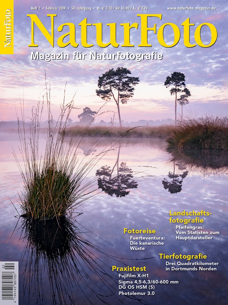 Naturfoto Magazin Deutschland 2019-02 Naturfotografie Landschaftsfotografie Pfeifengras