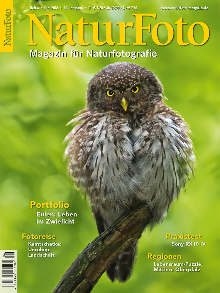 Naturfoto Revista Alemania 2018-06 Edición original
