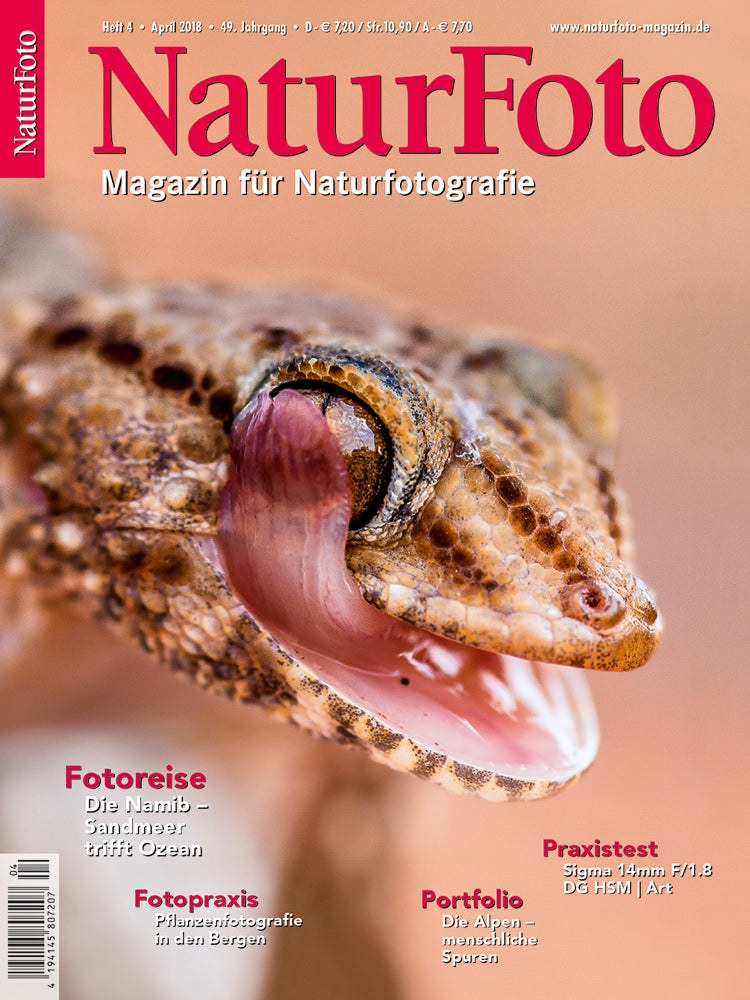 Naturfoto Magazin Deutschland 2018-04 Naturfotografie Gecko Reptilien