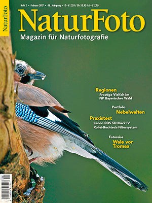 Naturfoto Magazin Deutschland 2017-02 Naturfotografie Eichelhäher Bayerischer Wald
