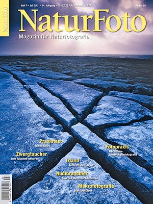 Naturfoto Magazin Deutschland 2013-07 Naturfotografie Nikon D800 Praxistest