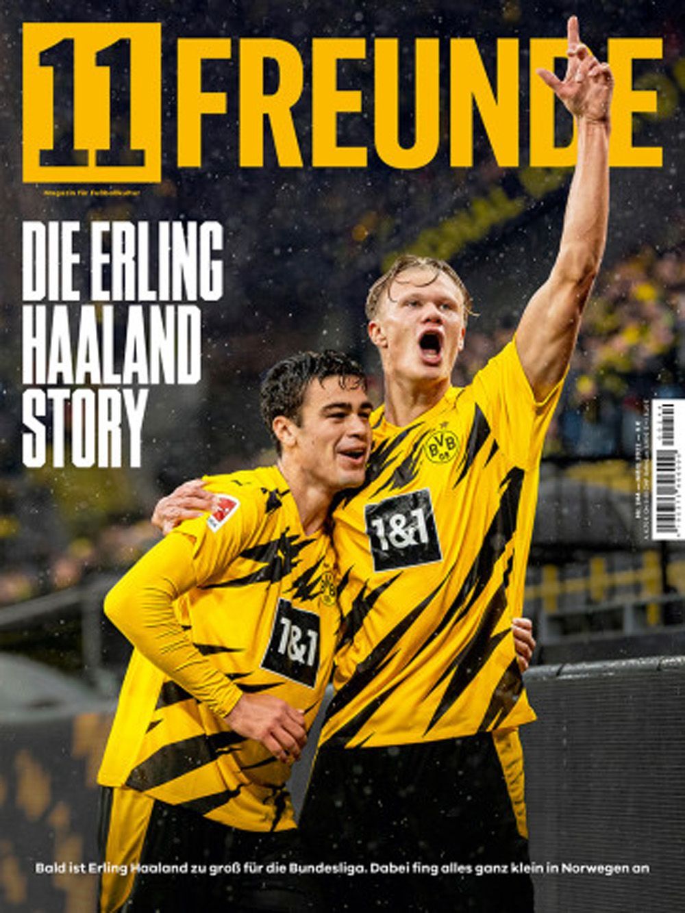11 Freunde Magazin Deutschland 2022 #244 Erling Haaland